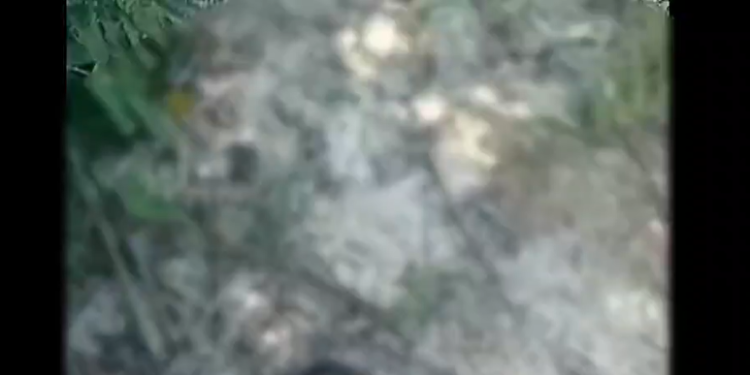 Jonatas Henrique Ferreira estava com amigos. Foto: Reprodução