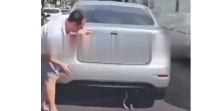 Em plena avenida Djalma Batista. Foto: Reprodução