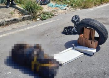 Polícia Civil caça 'mostro' que amarrou e matou cadela Rottweiler grávida na Cidade Nova