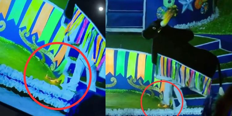 Vídeo mostra tripa do boi Caprichoso apagando fogo com o pé na alegoria