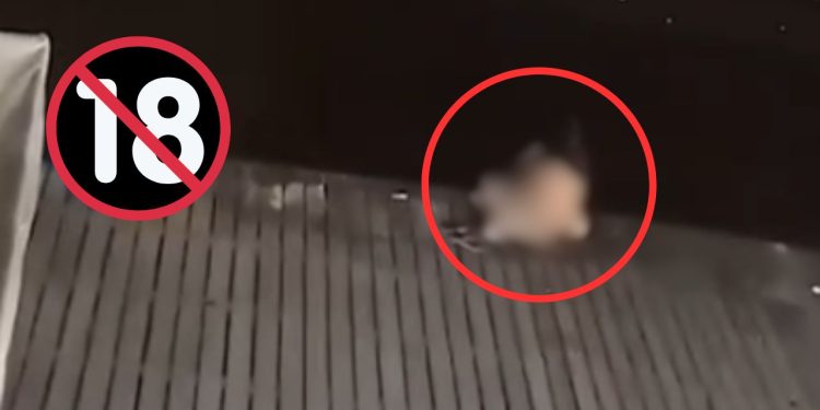 É o boto? Mulher é flagrada em momento íntimo com homem à beira do rio em Parintins