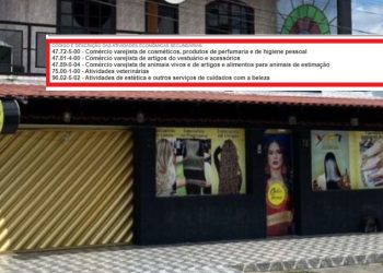 Salão Belle Femme da família de Djidja tem registro de atividades veterinárias e comércios de animais