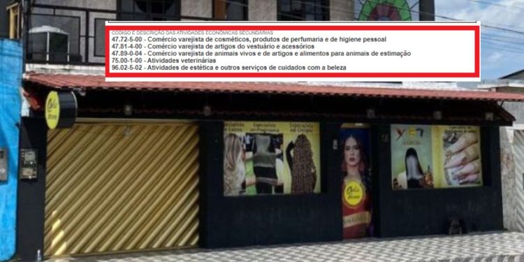 Salão Belle Femme da família de Djidja tem registro de atividades veterinárias e comércios de animais