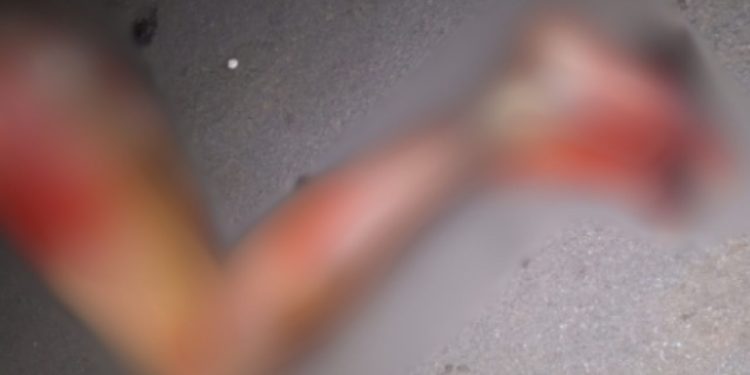 Vídeo forte: homem que estupr0u e agrediu mulher é queimado vivo após ser deixar a cadeia