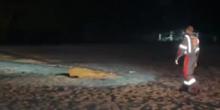 Recém-chegado a Manaus é executado a tiros no Tarumã supostamente por engano