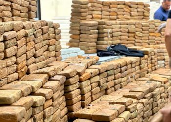 As drogas estão avaliadas em R$ 20 milhões. Foto: Beatriz Rodrigues/PC-AM