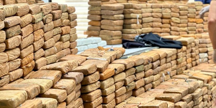 As drogas estão avaliadas em R$ 20 milhões. Foto: Beatriz Rodrigues/PC-AM