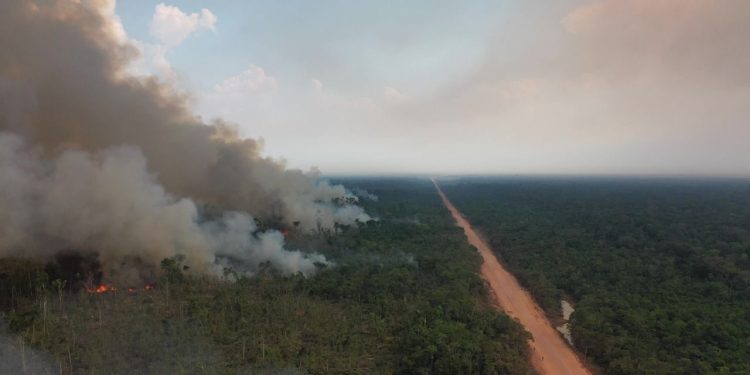 TCE-AM emite alerta aos 62 municípios para combate às queimadas e estiagem