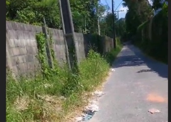 O crime ocorreu no final da tarde desta segunda-feira (1º). Foto: Reprodução