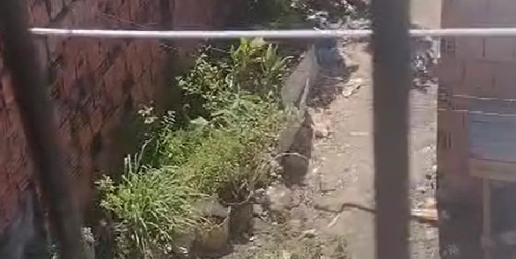 O crime ocorreu no início desta tarde (8). Foto: Reprodução