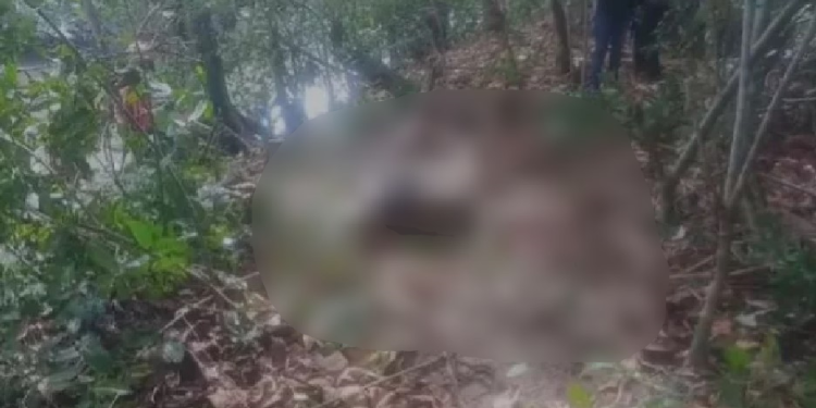 O cadáver foi encontrado nesta manhã de terça-feira (16). Foto: Reprodução