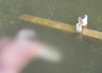 Moradores do Tarumã encontram corpo de decomposição em boiando em igarapé