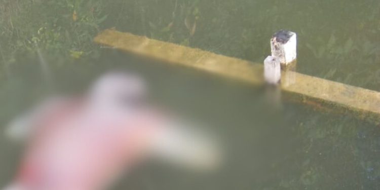 Moradores do Tarumã encontram corpo de decomposição em boiando em igarapé