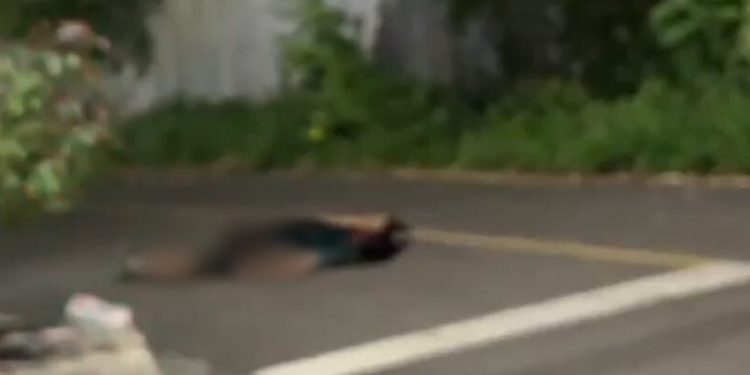 Vendedor de frutas grita por socorro em rua do São Raimundo após ser esfaqueado