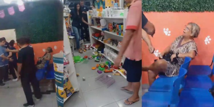 Vídeo: Idosa invade clínica veterinária no Tancredo Neves e sai quebrando tudo