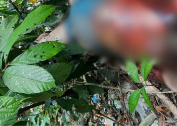 Amordaçado e sem olhos: vídeo forte mostra homem achado morto na mata no Jorge Teixeira