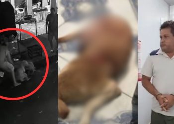 Vídeo: Homem flagrado esfaqueando cachorro no Lírio do Vale é preso; animal morreu