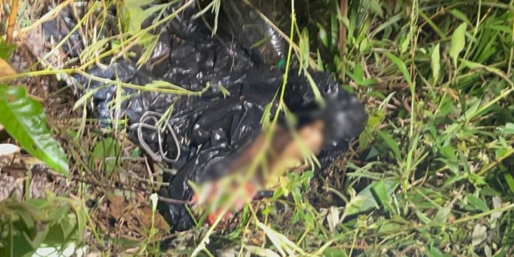 Moradores do Tarumã ficam assustados ao acharem pernas dentro de saco plástico em matagal