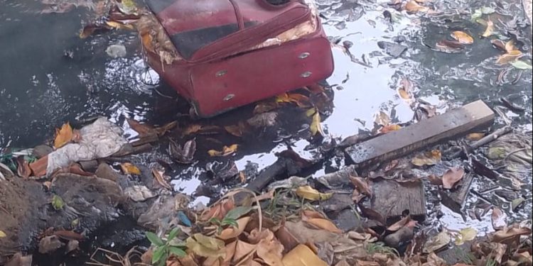 A cabeça, pernas e braços não foram encontrados. Foto: Divulgação