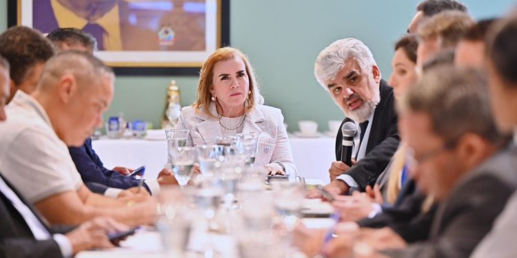 O objetivo central do encontro foi discutir as ações de monitoramento das queimadas. Foto: Joel Arthus