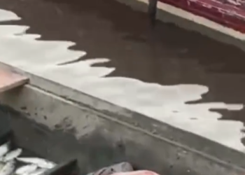 O corpo foi encontrado dentro da canoa que estava à deriva. Foto: Reprodução