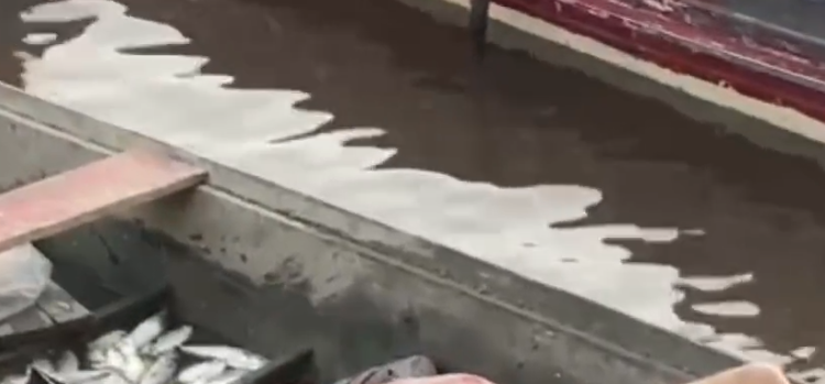 O corpo foi encontrado dentro da canoa que estava à deriva. Foto: Reprodução