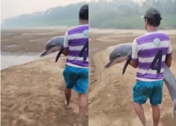 As imagens emocionaram a internet. Foto: Reprodução