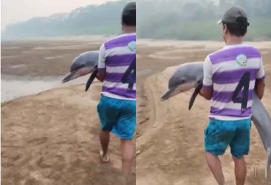 As imagens emocionaram a internet. Foto: Reprodução