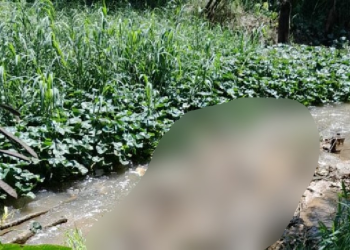 A polícia acredita que o corpo do homem tenha sido arrastado. Foto: Reprodução