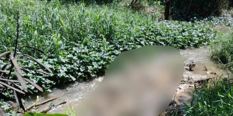 A polícia acredita que o corpo do homem tenha sido arrastado. Foto: Reprodução