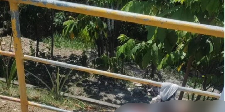 A vítima foi presa pelo pescoço e com o cartaz no peito. Foto: Reprodução