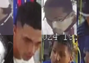 As denúncias podem ser feitas pelos números (92) 98827-8814 e 3667-7543 do Nurcc, ou 181, da SSP-AM. Foto: Divulgação/PC-AM