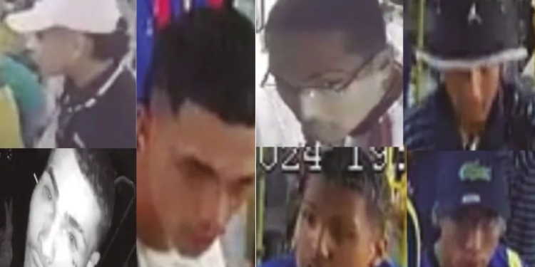 As denúncias podem ser feitas pelos números (92) 98827-8814 e 3667-7543 do Nurcc, ou 181, da SSP-AM. Foto: Divulgação/PC-AM