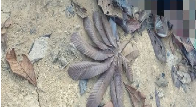 A vítima estava com bilhete. Foto: Reprodução