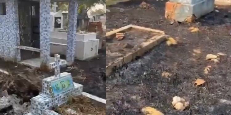 Cenas de desrespeito com quem já se foi. Foto: Reprodução