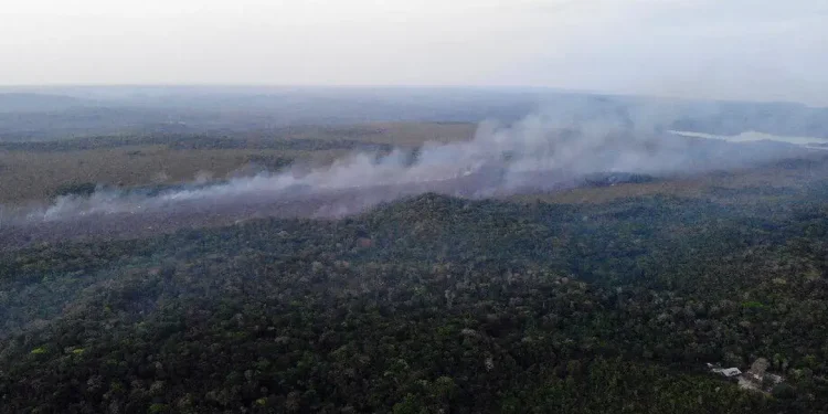 Amazonas e Pará concentram, juntos, mais da metade (51,6%) dos focos de incêndio registrados. Foto: Brigada de Alter do Chão (PA) - Divulgação