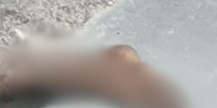 Sem pena, moradores do Nova Esperança dão pauladas e pedradas em homem acusado de roubo; ele morreu