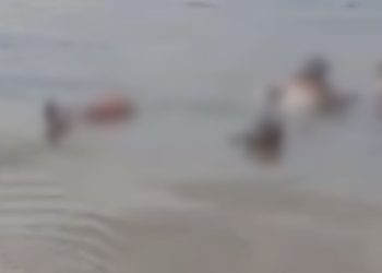 Vídeo: Corpo encontrado boiando no município de Alvarães pode ser uma vítima da embarcação que pegou fogo em Uarini