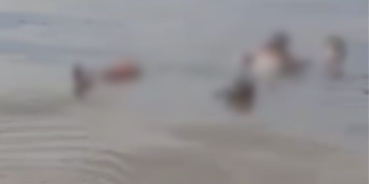 Vídeo: Corpo encontrado boiando no município de Alvarães pode ser uma vítima da embarcação que pegou fogo em Uarini