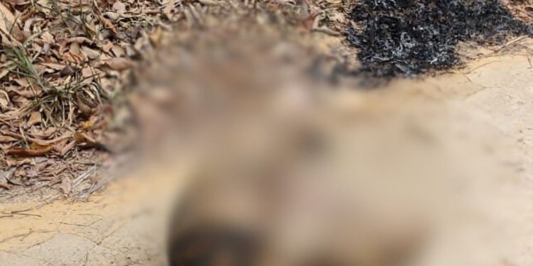 Vídeo forte: Corpo é achado com marcas de tiros e quase carbonizado no Ramal do Brasileirinho