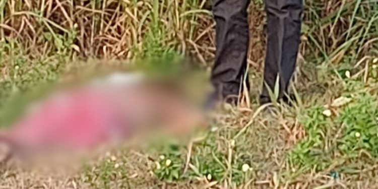 “Passava visão para os PCC”: Vídeo mostra homem morto por facção no Jorge Teixeira