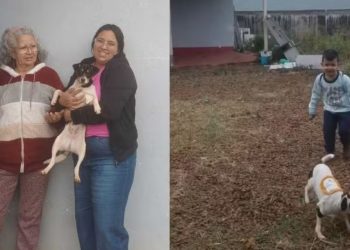 Menino venezuelano de 4 anos e sua cachorrinha foram encontrados em destroços do avião que caiu em São Paulo