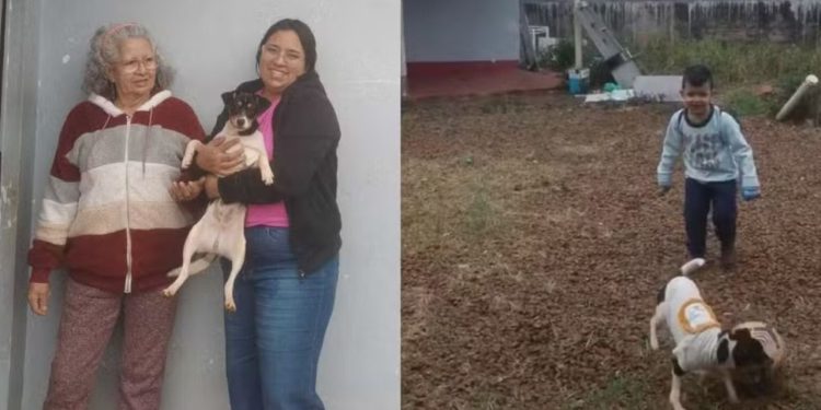 Menino venezuelano de 4 anos e sua cachorrinha foram encontrados em destroços do avião que caiu em São Paulo