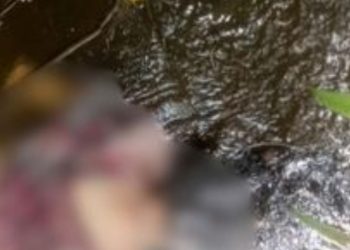 Mulher é encontrada sem vida jogada em igarapé nos fundos de sua casa em Rio Preto da Eva