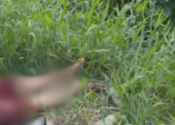 Vídeo forte mostra homem que morreu com tijoladas na cabeça por ser supostamente X9 em Manaus