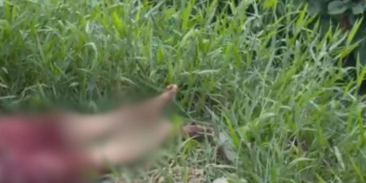 Vídeo forte mostra homem que morreu com tijoladas na cabeça por ser supostamente X9 em Manaus