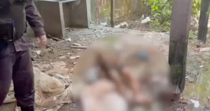 O crime aconteceu na tarde desta quarta-feira (4). Foto: Reprodução