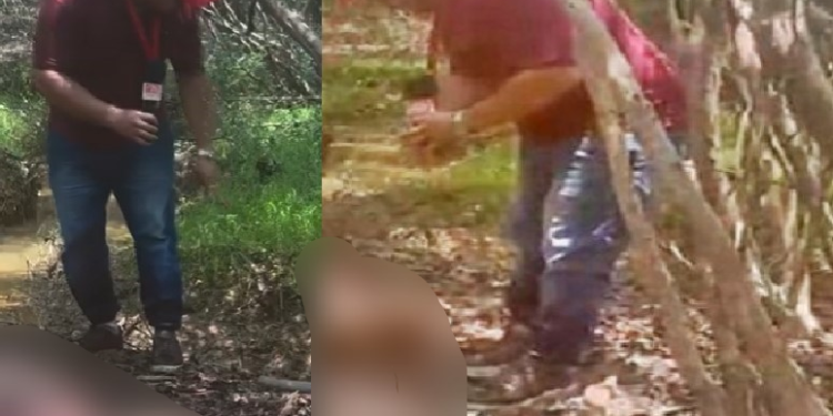 O crime ocorreu no domingo (29). Foto: Reprodução