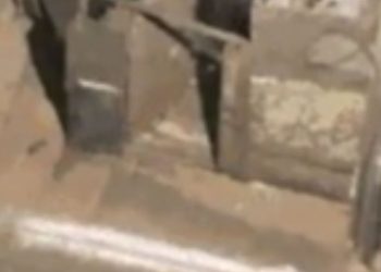 Dupla de amigos reage a assalto e esfaqueia bandido; veja o vídeo