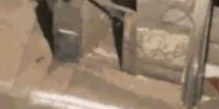 Dupla de amigos reage a assalto e esfaqueia bandido; veja o vídeo